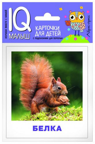 Умный малыш  Кто живёт в лесу? Набор из 14 карточек.
